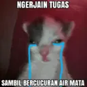 Կպչուն պիտակ