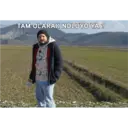 Налепница
