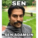 اسٹیکر