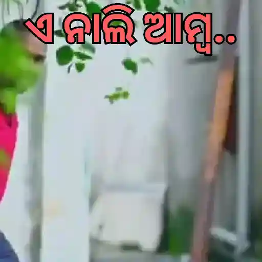 ਸਟਿਕਰ