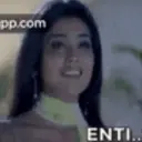 贴纸