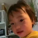 Adhesiu