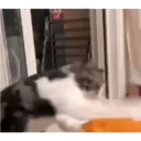 מדבקה