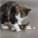 מדבקה