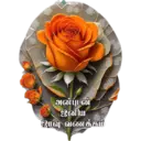 Stiker