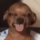 Çıkartma