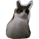 Naljepnica