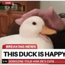 ਸਟਿਕਰ