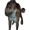 Límmiði