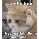 Límmiði