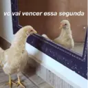 Стикер