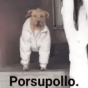 ملصق