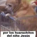 贴纸