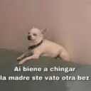 Çıkartma