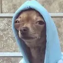 ملصق