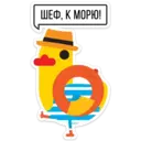 sticker