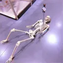 Pelekat