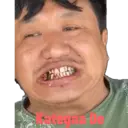Stika