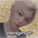 Figurinha
