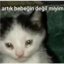 Çıkartma