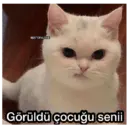 Çıkartma