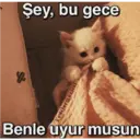 Çıkartma