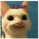 Çıkartma