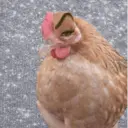 Çıkartma