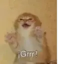 ملصق