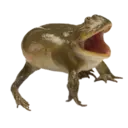 Çıkartma