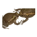 Çıkartma