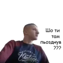 Налепница