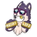 Stiker