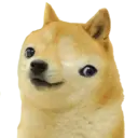 Nhãn dán