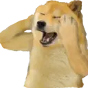 Nhãn dán