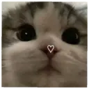 স্টিকার