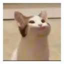 স্টিকার