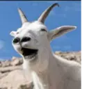اسٹیکر