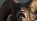 اسٹیکر