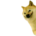 Stika