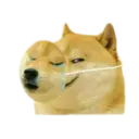 Stika