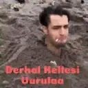 Samolepka