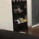 贴纸