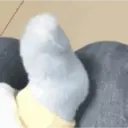 贴纸