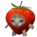 Կպչուն պիտակ