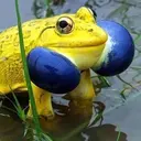 Naklejka