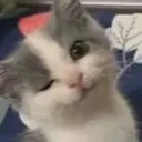 Figurinha