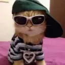 Figurinha