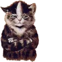 Stiker