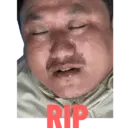 Stika